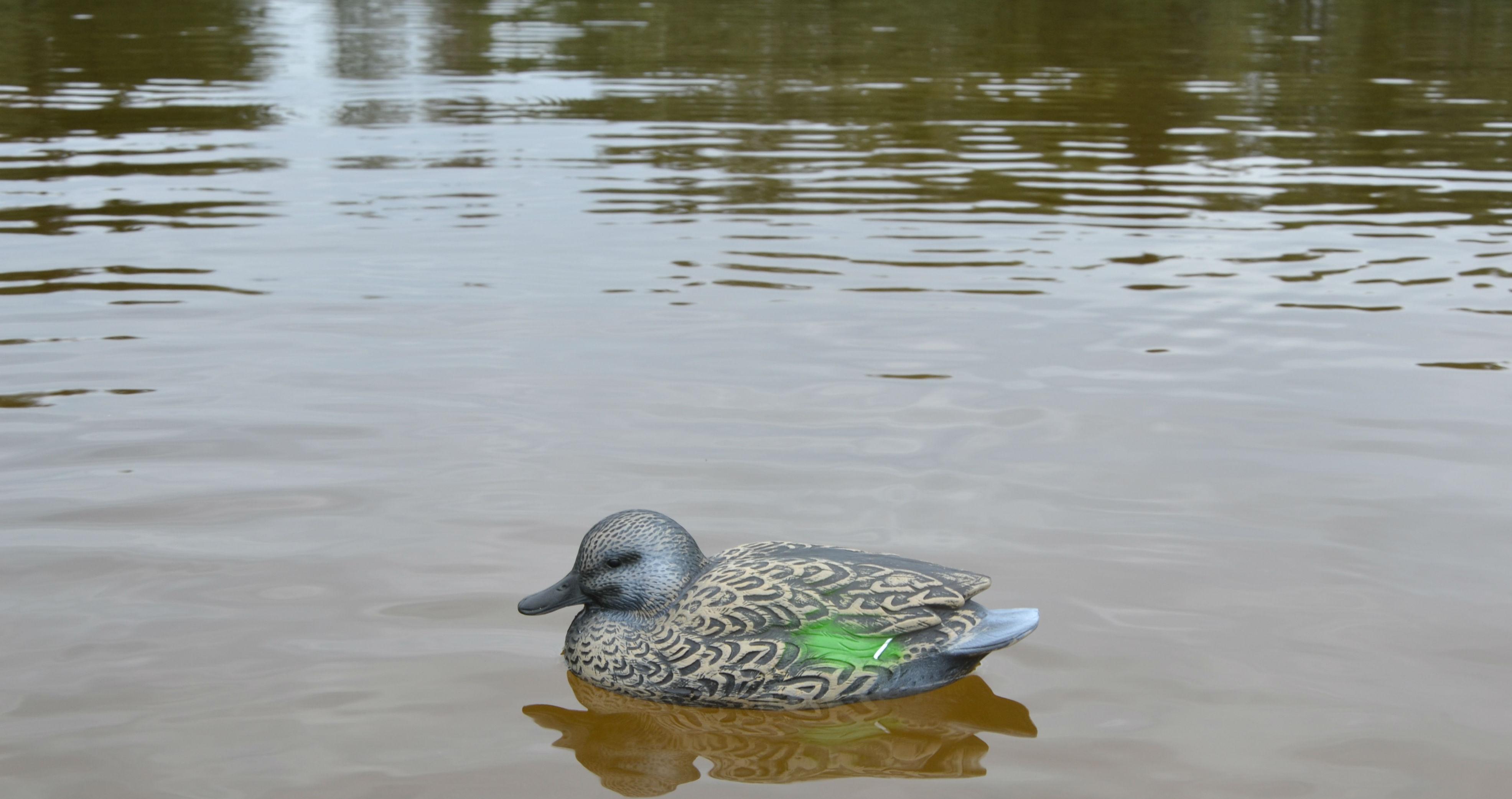 Чучело утка "Чирок"