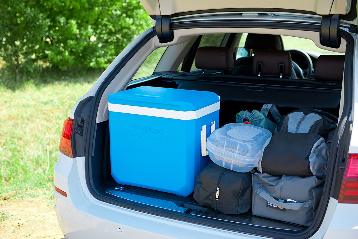 Контейнер Icetime Plus 38L