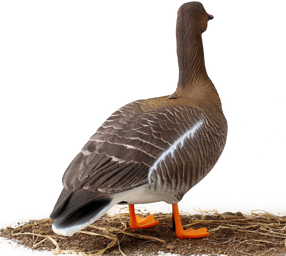 Чучело гусь белолобый, сторожевой