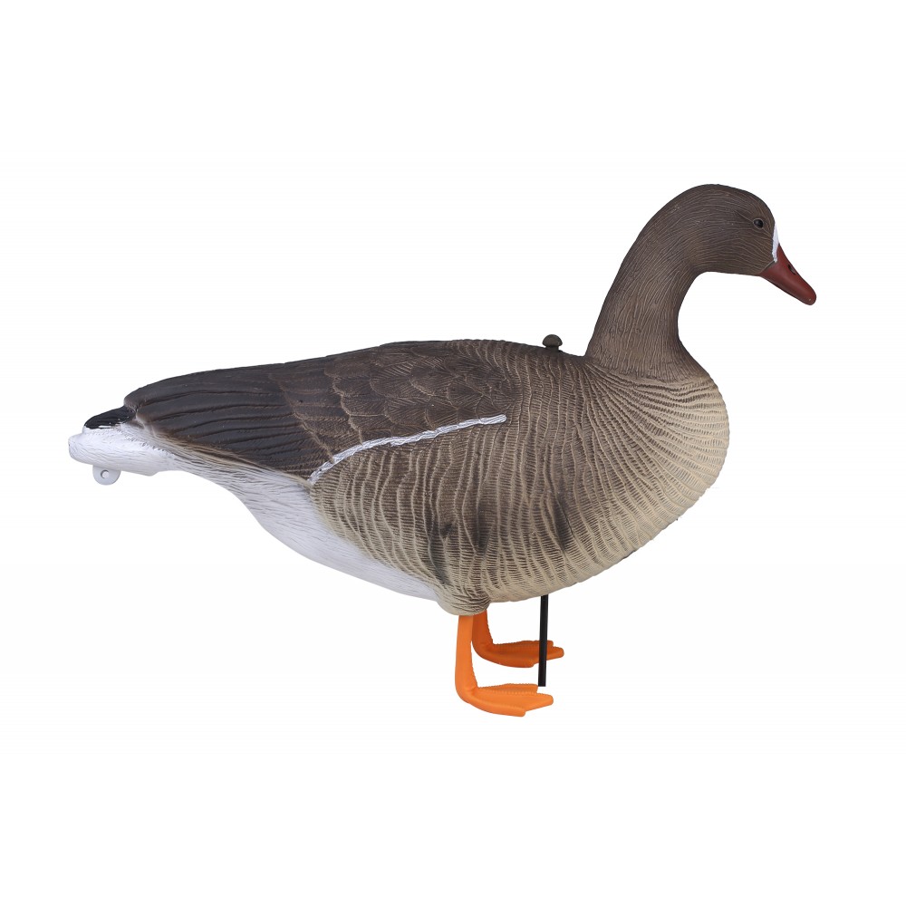 Чучело гусь белолобый, сторожевой